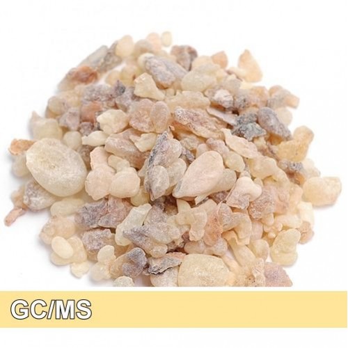 Frankincense-serrata-乳香精油